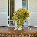 Coquette By Interhome * Dénia